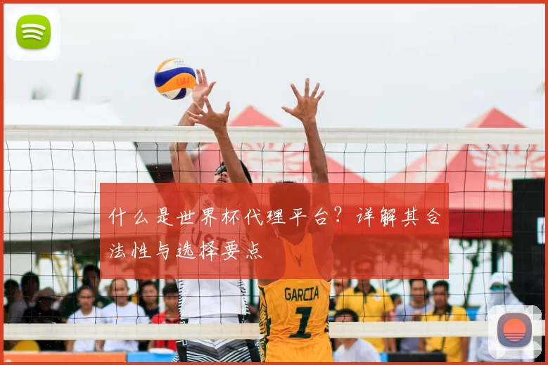 什么是世界杯代理平台？详解其合法性与选择要点