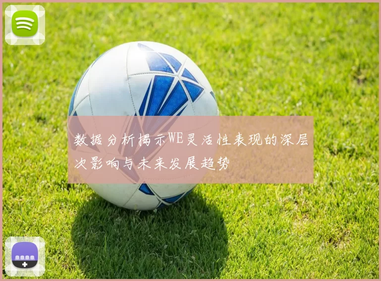 数据分析揭示WE灵活性表现的深层次影响与未来发展趋势