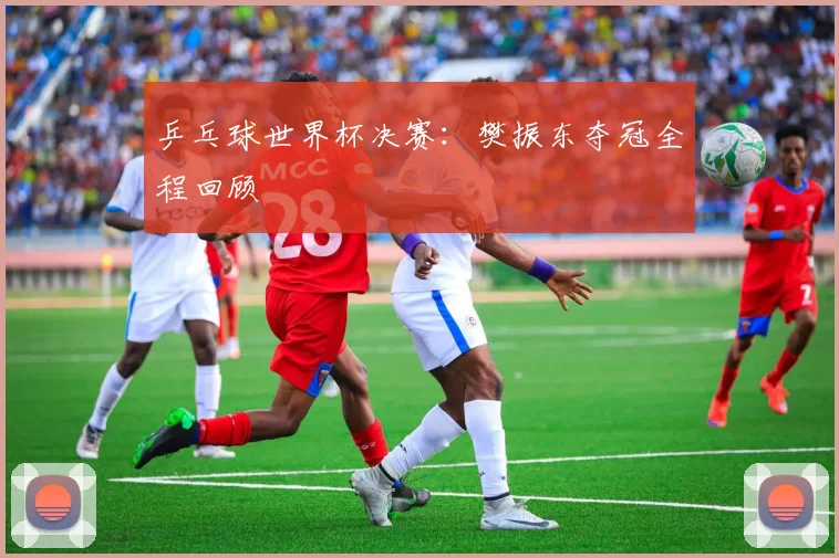 乒乓球世界杯决赛:樊振东夺冠全程回顾