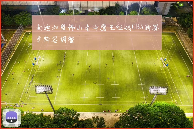 麦迪加盟佛山南海鹰王征战CBA新赛季阵容调整