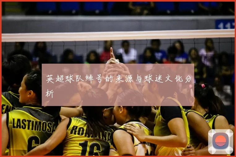 英超球队绰号的来源与球迷文化分析