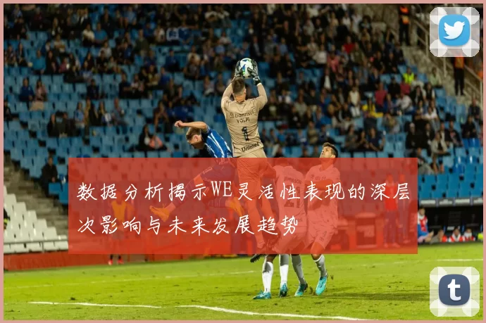 数据分析揭示WE灵活性表现的深层次影响与未来发展趋势