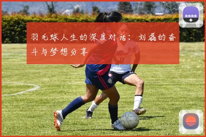 羽毛球人生的深度对话：刘磊的奋斗与梦想分享