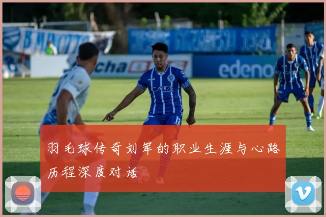 羽毛球传奇刘军的职业生涯与心路历程深度对话