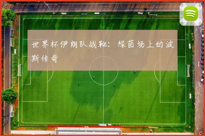 世界杯伊朗队战靴:绿茵场上的波斯传奇