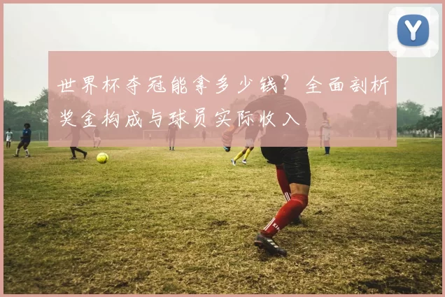 世界杯夺冠能拿多少钱?全面剖析奖金构成与球员实际收入