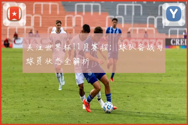 关注世界杯11月赛程:球队备战与球员状态全解析