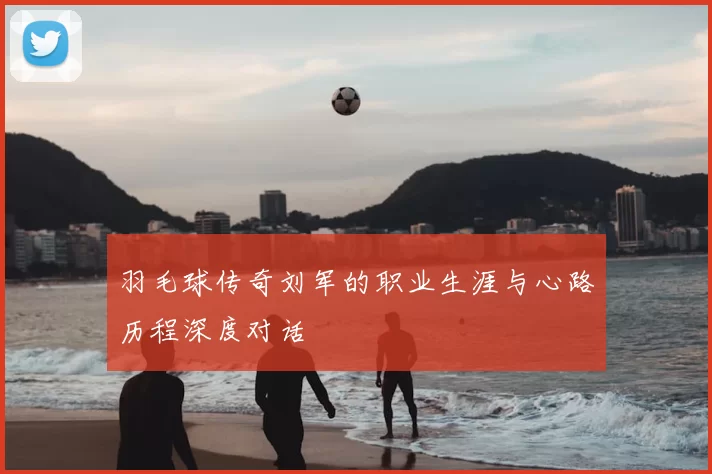 羽毛球传奇刘军的职业生涯与心路历程深度对话