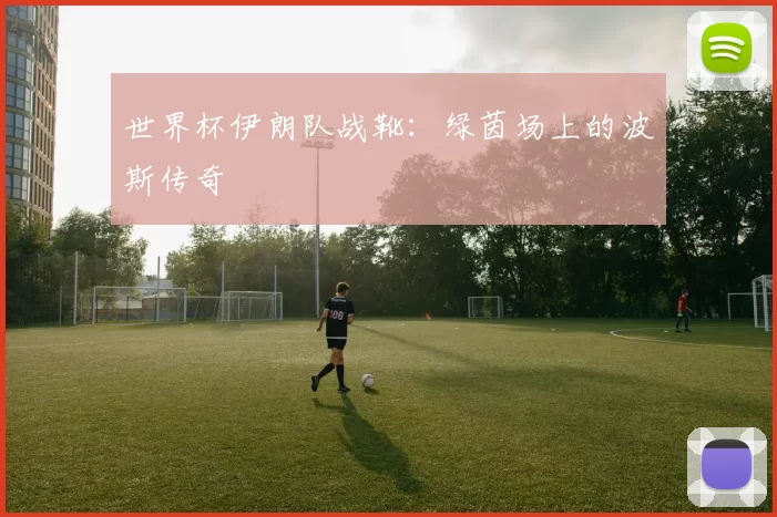 世界杯伊朗队战靴:绿茵场上的波斯传奇