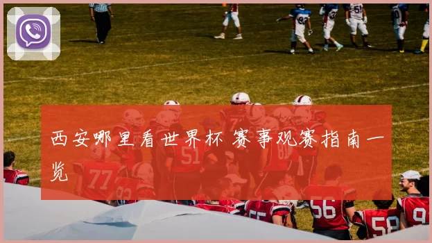 西安哪里看世界杯 赛事观赛指南一览