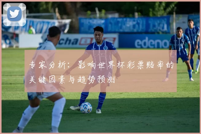 专家分析：影响世界杯彩票赔率的关键因素与趋势预测