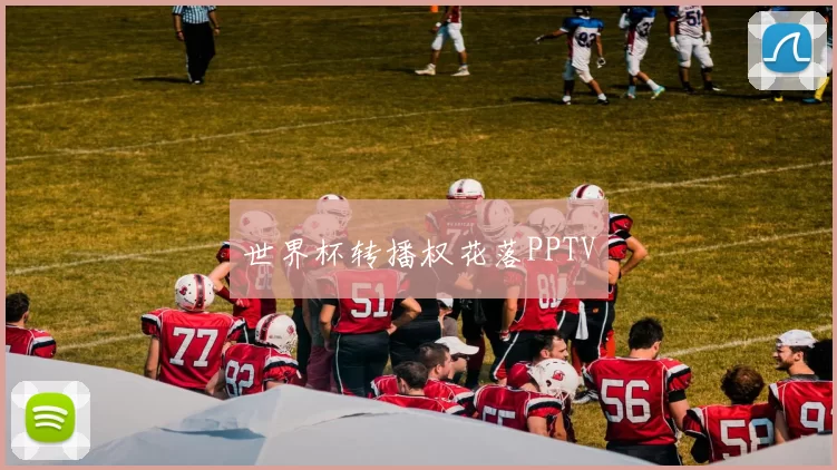世界杯转播权花落PPTV