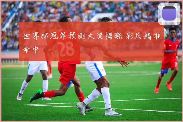 世界杯冠军预测大奖揭晓 彩民精准命中