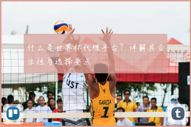 什么是世界杯代理平台？详解其合法性与选择要点