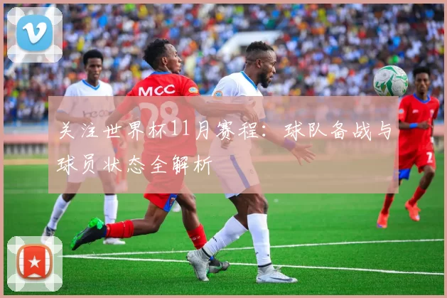 关注世界杯11月赛程:球队备战与球员状态全解析