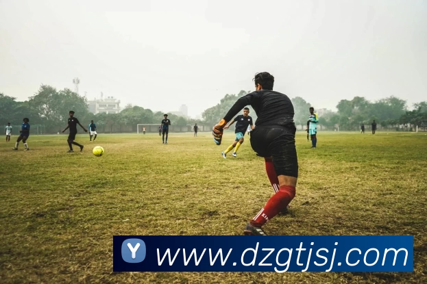 九游体育平台生态图